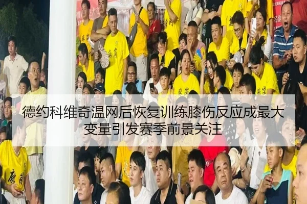德约科维奇温网后恢复训练膝伤反应成最大变量引发赛季前景关注
