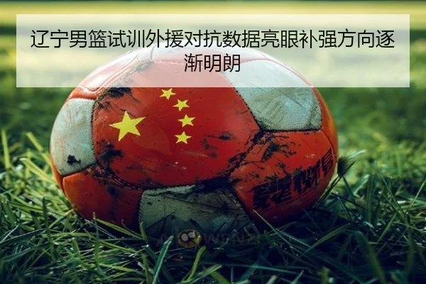 辽宁男篮试训外援对抗数据亮眼补强方向逐渐明朗